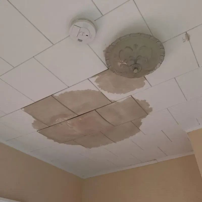 Ceiling Water Damage Repair in Jacksonville Beach, FL